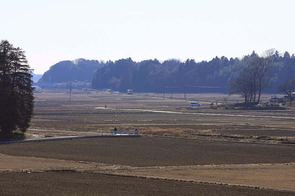 朝のお散歩 - 2012年・ひたちなか -_b0190710_22232275.jpg
