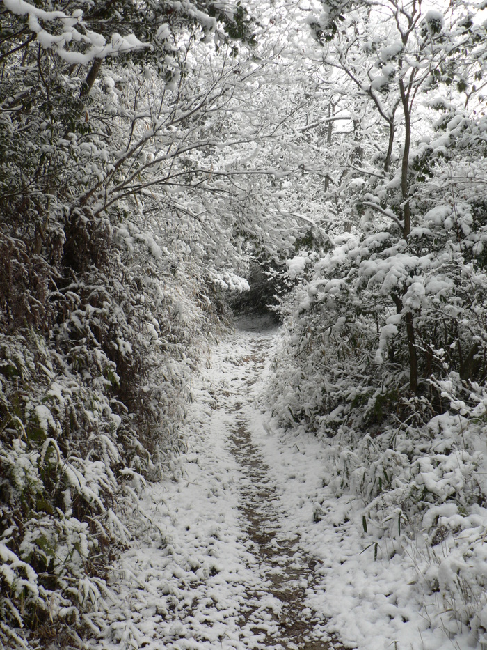 老齢者の登山に思う_f0219710_1257214.jpg