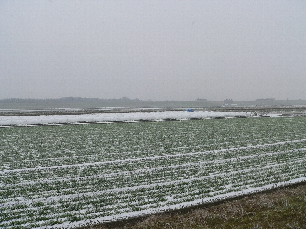 e0002314_1946733.jpg