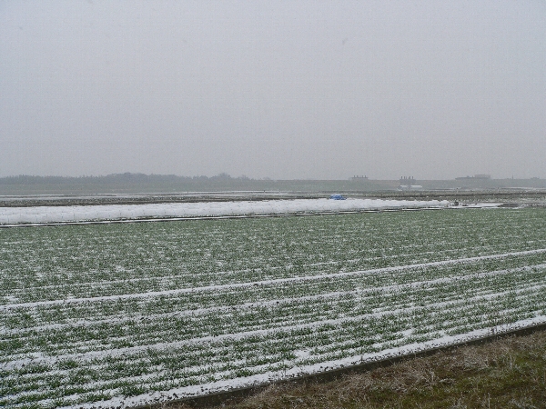 久留米地区　川散策　男旅_e0002314_1946733.jpg