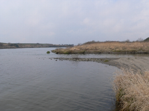 e0002314_2003064.jpg