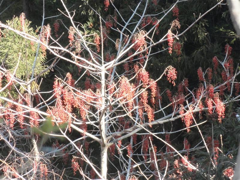 a0127015_9363.jpg