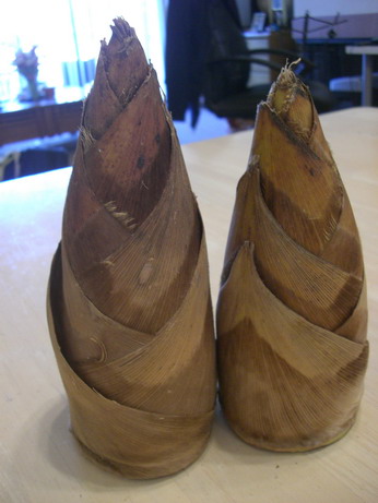 f0105318_57410.jpg