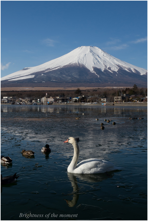 2012 2.19 山中湖の富士山_e0200922_14113688.jpg