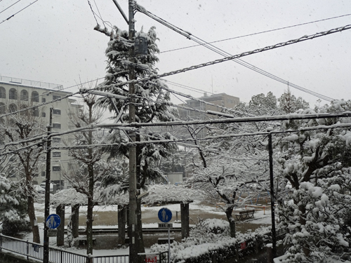 福岡市内も雪　2012年2月19日_a0129233_1243118.jpg