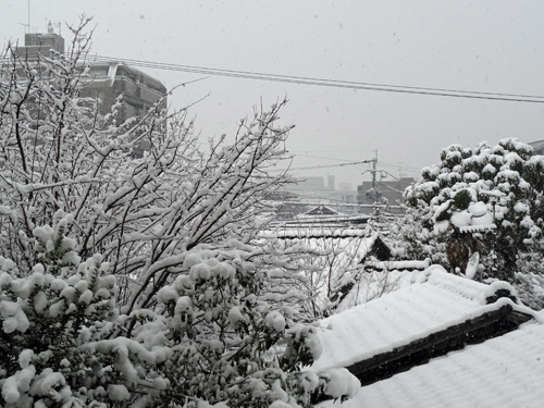 福岡市内も雪 12年2月19日 s tarouのブログ 福岡市内も雪 12年2月19日 s tarouのブログ