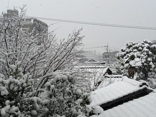 福岡市内も雪　2012年2月19日_a0129233_126491.jpg