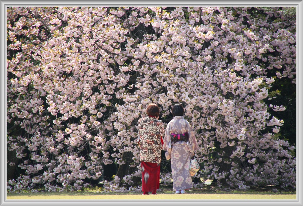 「　魅せられて　」が選ばれました（＾－＾）_e0052135_17295195.jpg