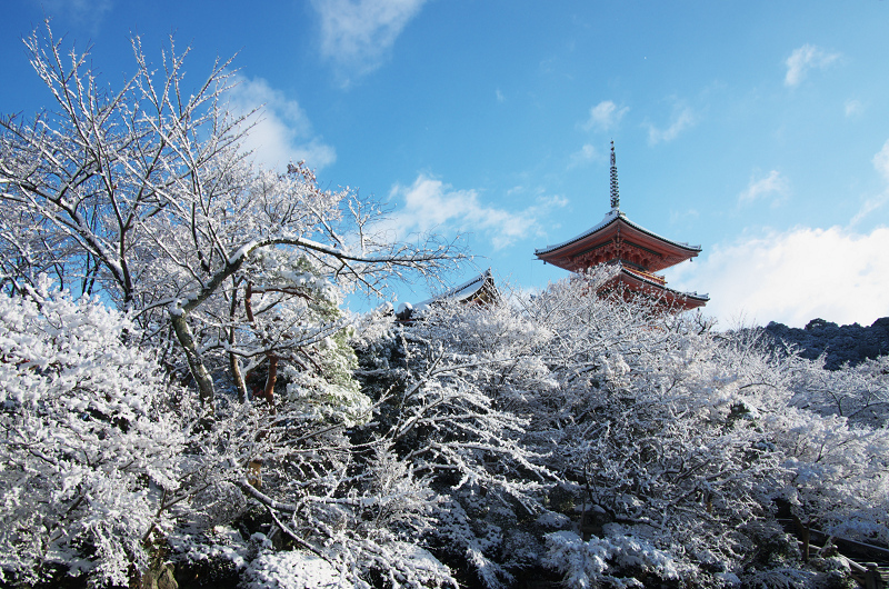 雪景色！清水寺（後編） : 花景色－K.W.C. PhotoBlog