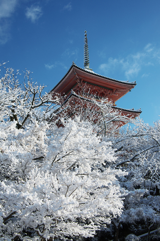 雪景色！清水寺（後編） : 花景色－K.W.C. PhotoBlog