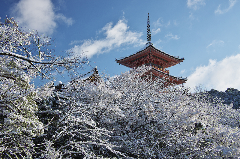 雪景色！清水寺（後編） : 花景色－K.W.C. PhotoBlog
