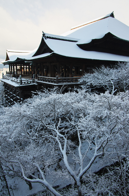 雪景色！清水寺（後編） : 花景色－K.W.C. PhotoBlog