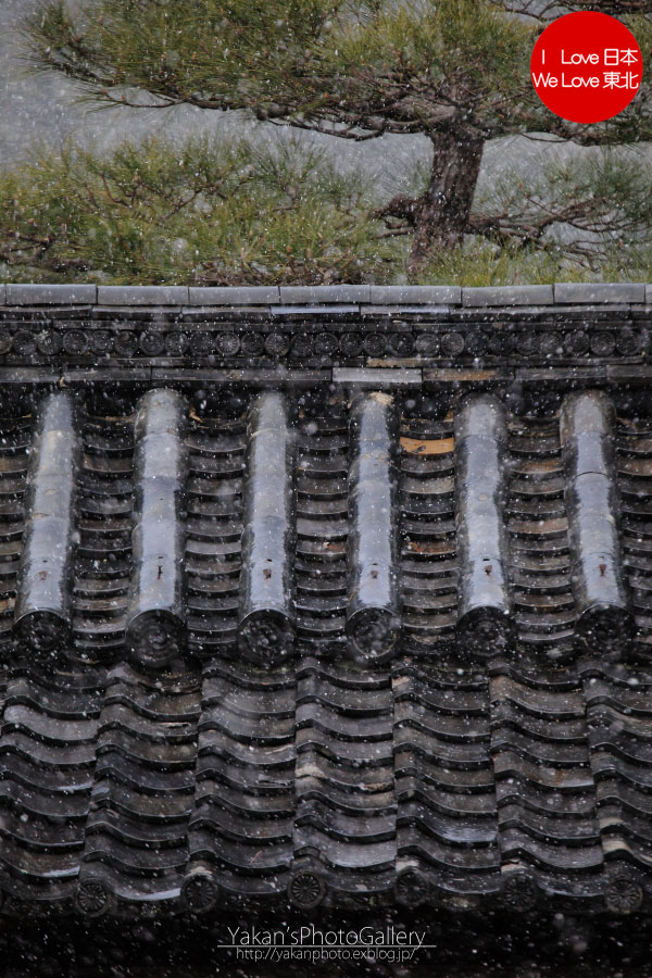 b0157849_2302376.jpg