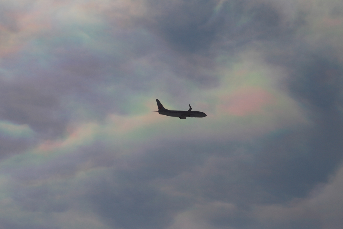 e0104755_838193.jpg