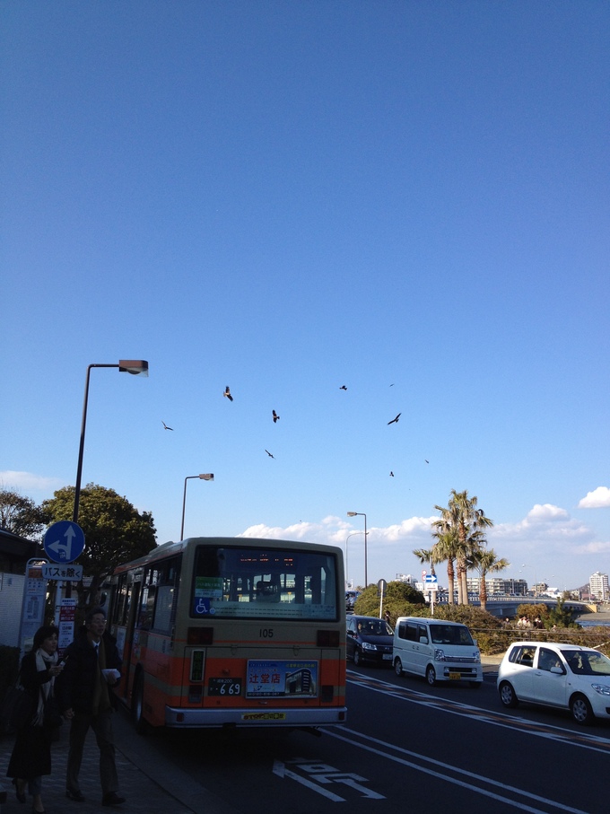 愛を語るより自転車に乗ろう【湘南国際村ＴＴ－山側－】_b0232759_2351424.jpg