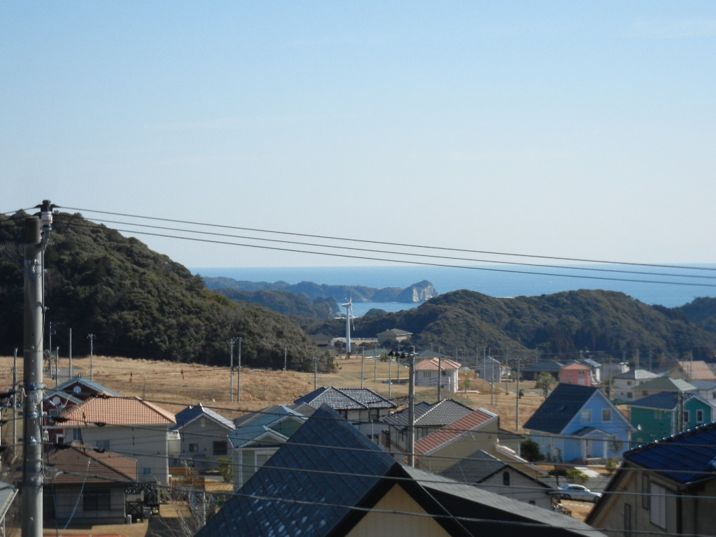 2012年2月19日(日)今日はオレンジの花!_f0060461_11295233.jpg
