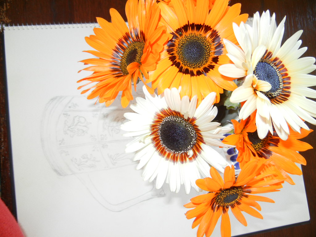 2012年2月19日(日)今日はオレンジの花!_f0060461_11313895.jpg