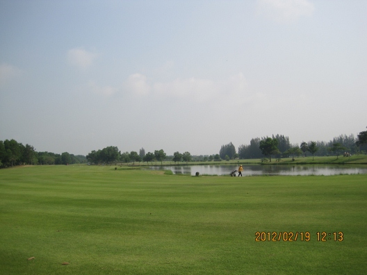 2008年のワインは美味しい_b0100062_20241811.jpg