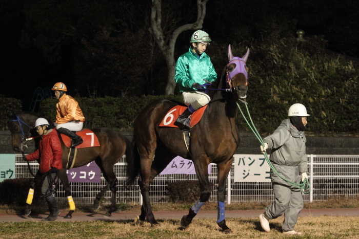 2012年2月17日（金） 高知競馬 10R 香川県オリーブ特別 C2-1選抜馬 その1_a0077663_13414288.jpg