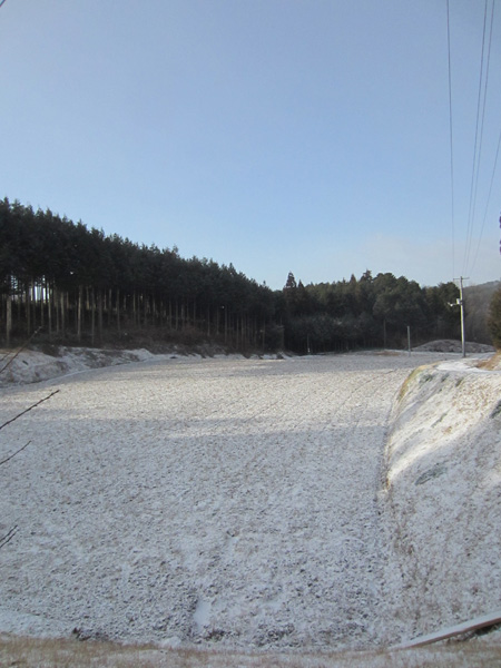 雪の朝_d0231263_053263.jpg