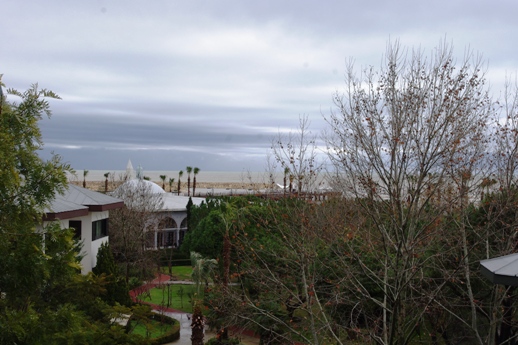 f0232763_56098.jpg