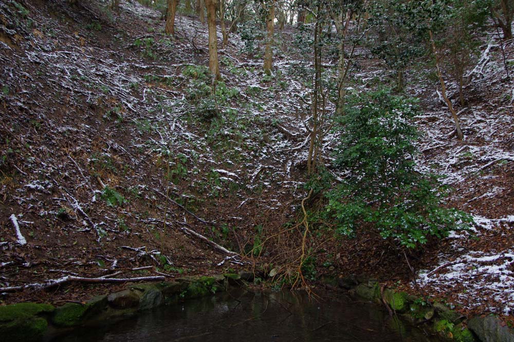 雪池風景_c0116464_13225460.jpg