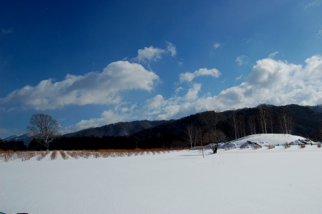 開田高原①・・・雪をもとめて_d0172270_1334353.jpg