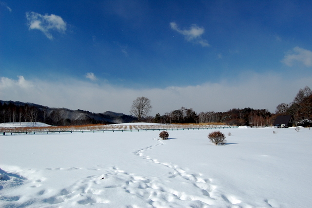 開田高原①・・・雪をもとめて_d0172270_1351834.jpg