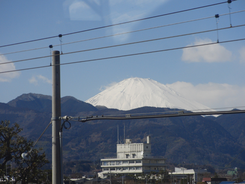 我が物顔_e0167571_21411625.jpg