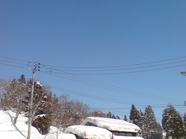 忙しい1日、そして晴天の1日でした。_d0182179_180949.jpg