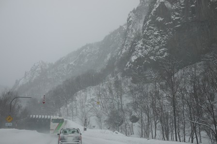 冬の北海道旅行＜２日目その１＞雪の旭山動物園_b0236985_2222930.jpg