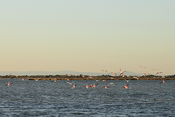 a0252387_7443475.jpg