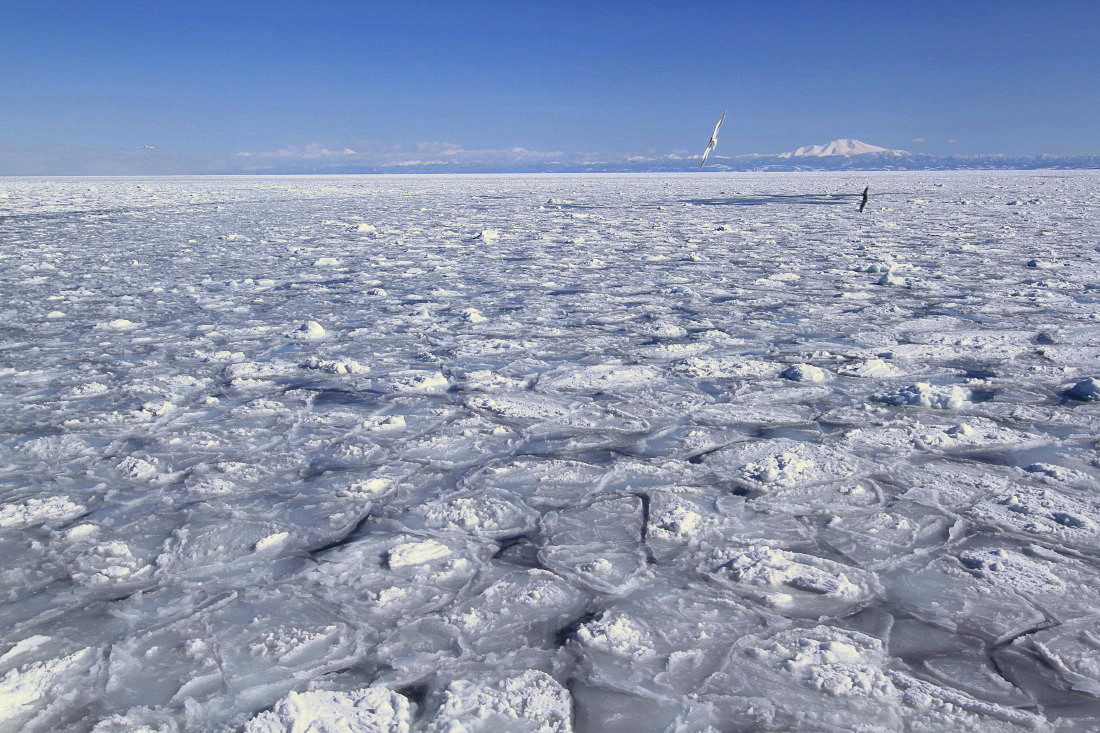 オホーツク海の流氷_a0248991_20514672.jpg