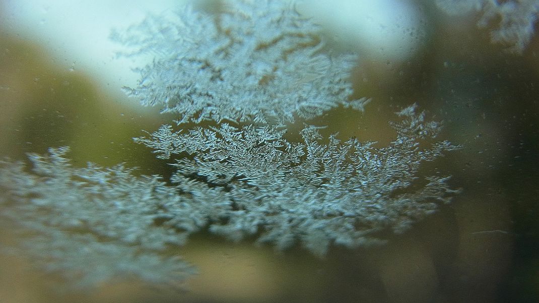 a0152692_18452072.jpg