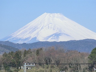 雪化粧_d0156797_15563844.jpg