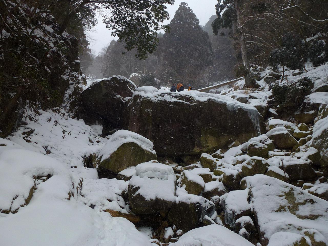 御在所岳－本谷を詰めて、藤内沢を下る_e0110500_2345336.jpg