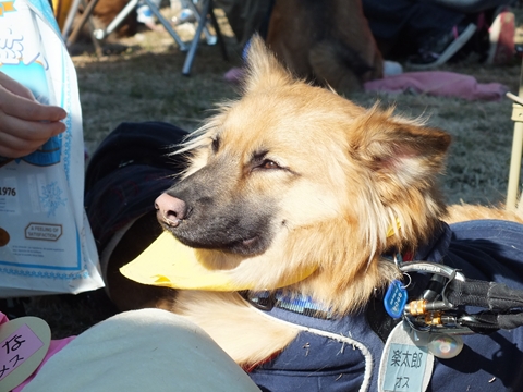 e0242804_21233239.jpg
