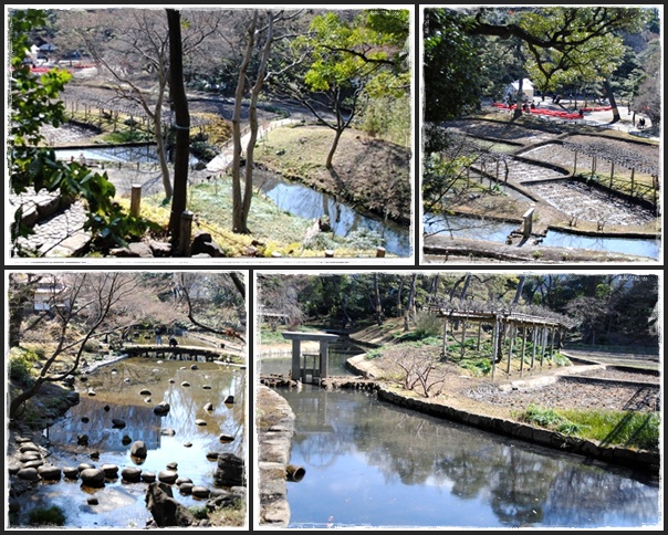 ぴんぼけクラブ　～　小石川後楽園　２月１９日_c0051107_2316117.jpg