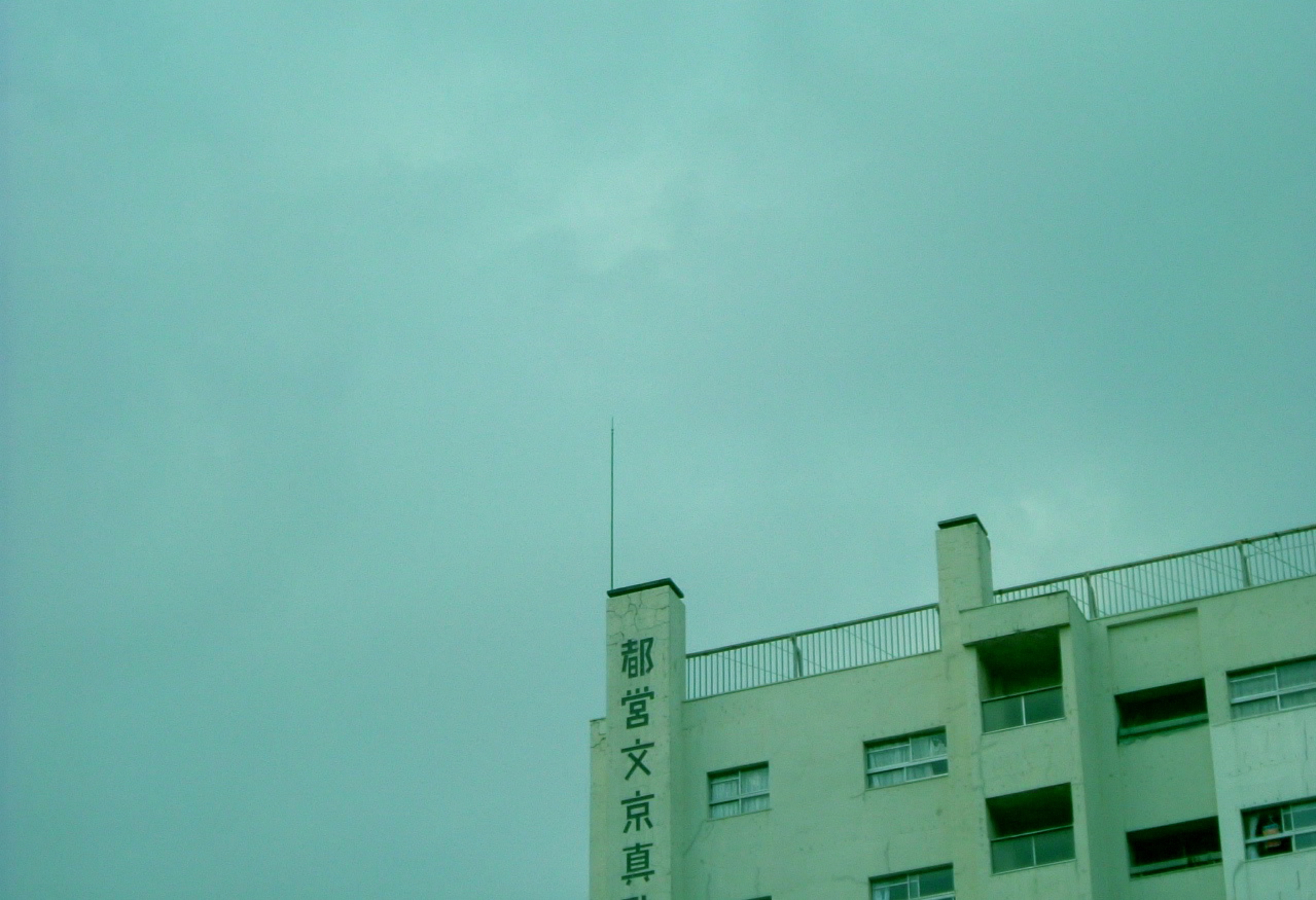 a0144908_2056834.jpg