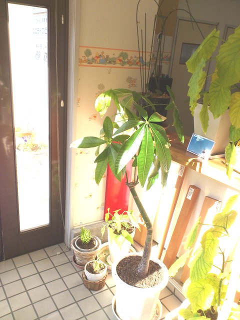 a0258409_10304047.jpg