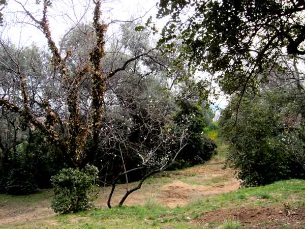 b0064411_811744.jpg