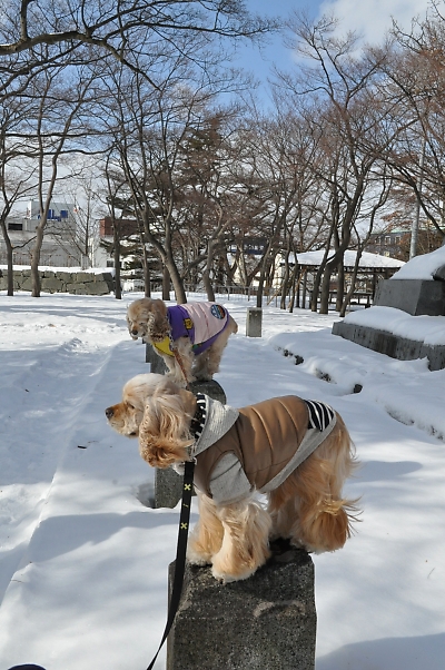 さぁ行くぞ　盛岡案内_b0067012_12453136.jpg