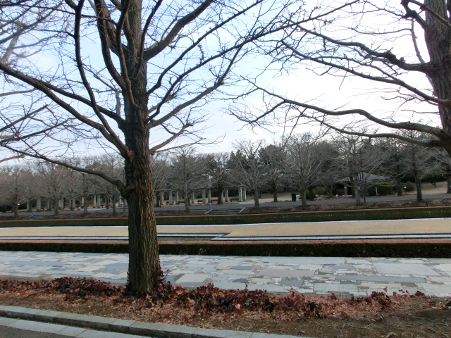 c0200916_22383425.jpg