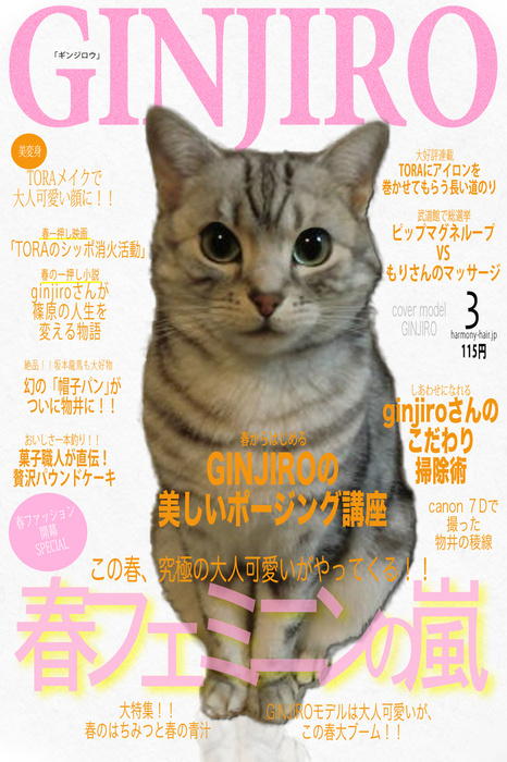 雑誌「GINGER」の姉妹誌が発売!!_c0222817_22104922.jpg