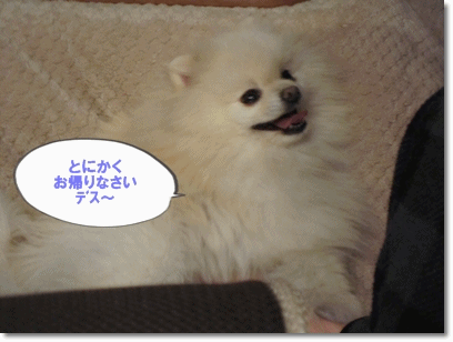 b0167519_1059404.gif