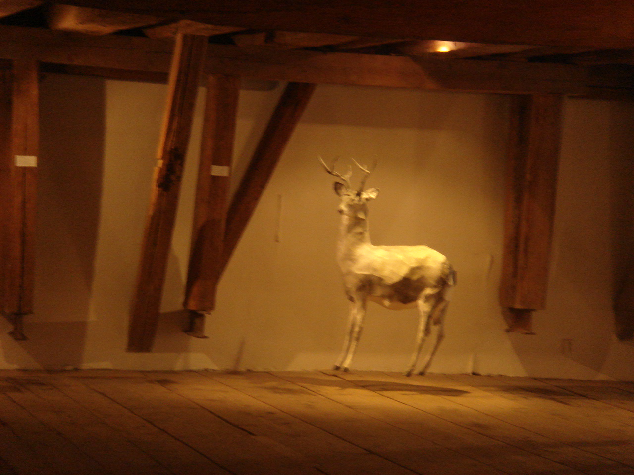 e0198120_0141350.jpg