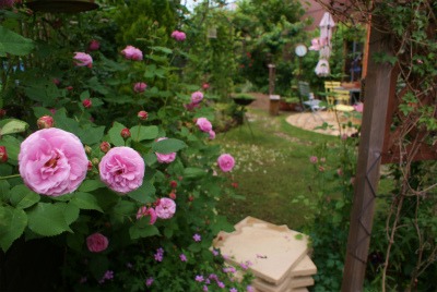 f0170524_1762588.jpg