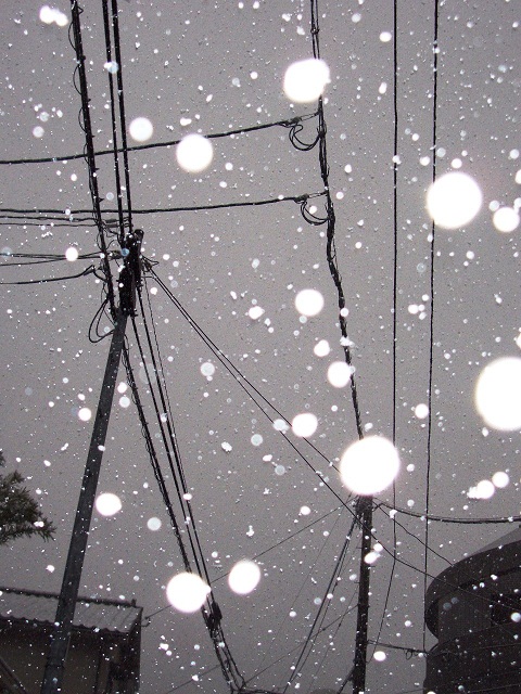 d0247530_0572687.jpg