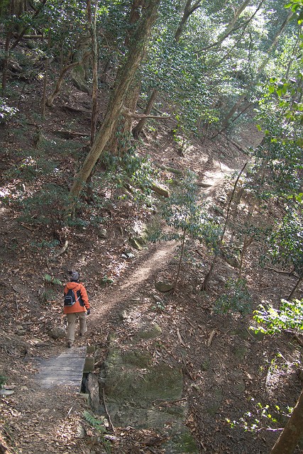 ２/18　御岳登山　（2/20記）_a0080832_22105726.jpg