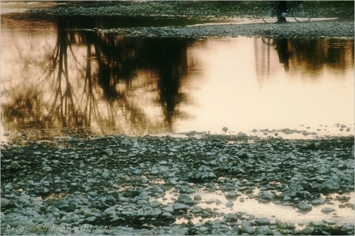 e0011137_01377.jpg